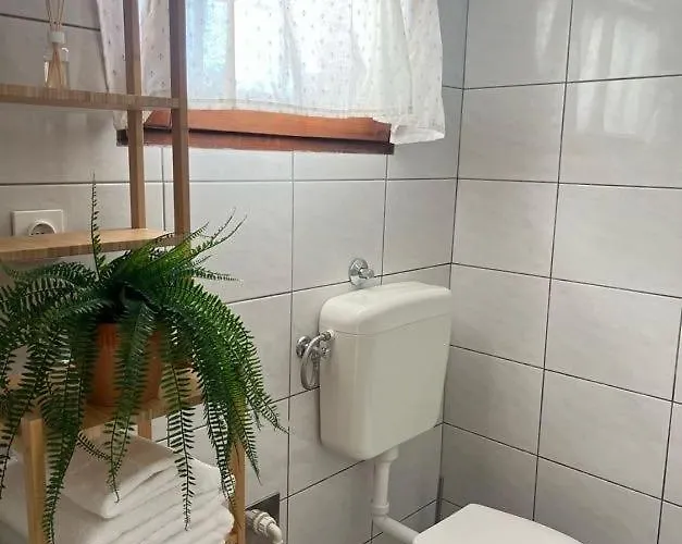 Tatil Evi La Casa De Papel - *